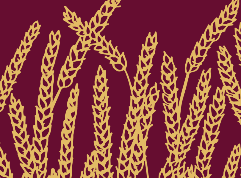 picture of wheat