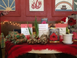 a table filled with spring bulbs and flowers on sale at the Alternative Christmas Fair