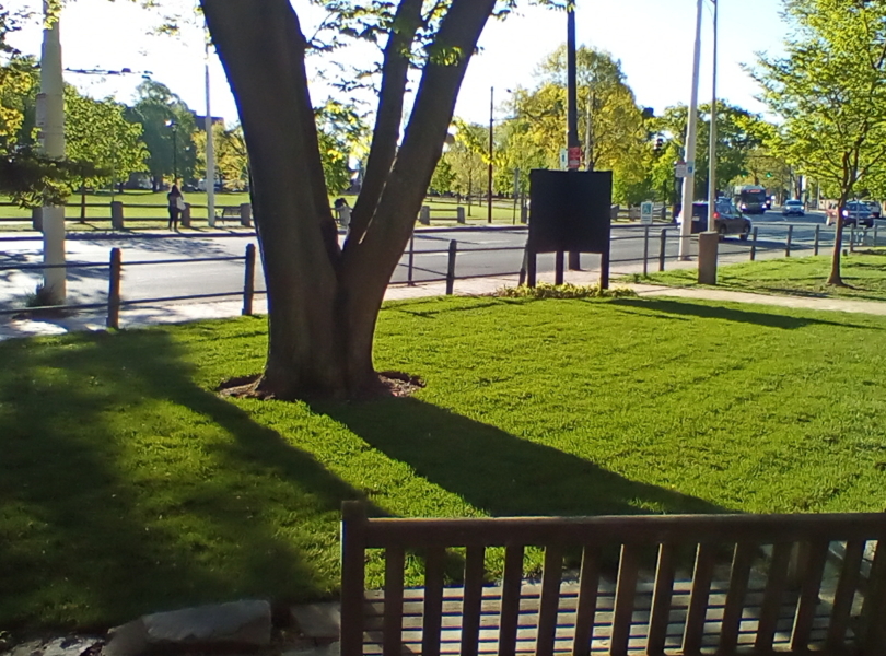 church lawn